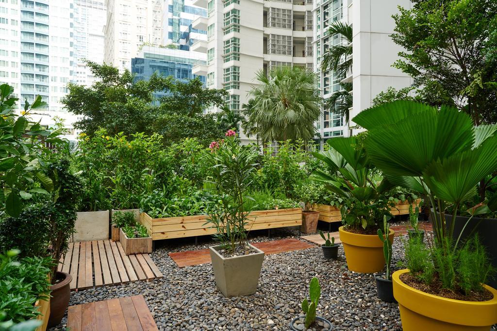 曼谷拉差达姆里都喜套房酒店 外观 照片 A rooftop garden in Singapore